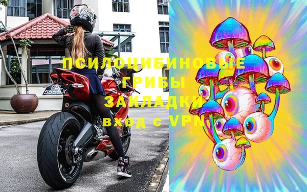 тгк Алексин