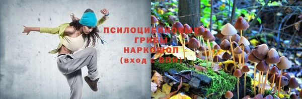 таблы Алзамай