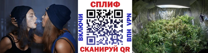 цена наркотик  Изобильный  Конопля MAZAR 